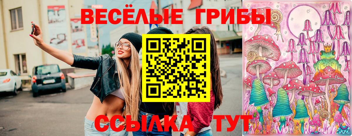 Галлюциногенные грибы ЛСД Зерноград