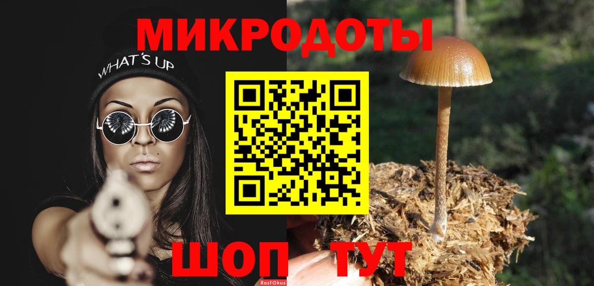 Галлюциногенные грибы Psilocybe  Псилоцибиновые грибы мухоморы  Вход с VPN  купить наркотик  Зерноград 